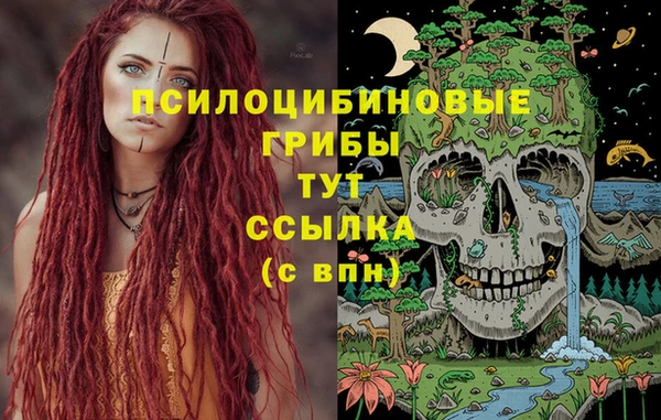 эйфоретик Лабытнанги