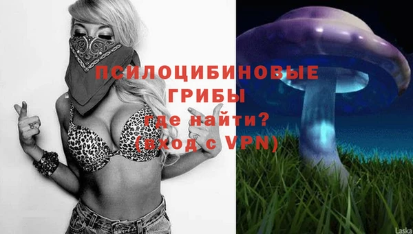 шишки Мурманск