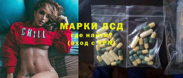 шишки Мурманск