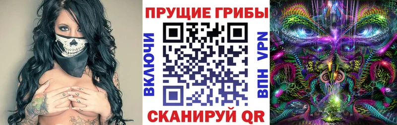 Псилоцибиновые грибы MAGIC MUSHROOMS  Звенигово 